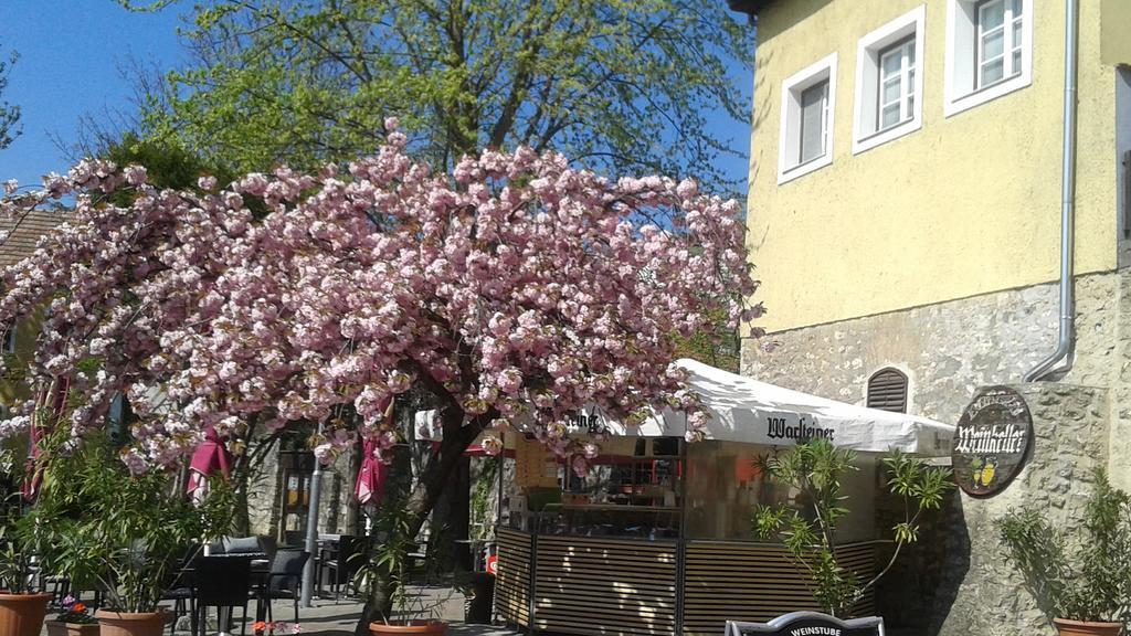 Tavas Barlang Apartman Tapolca Exteriér fotografie